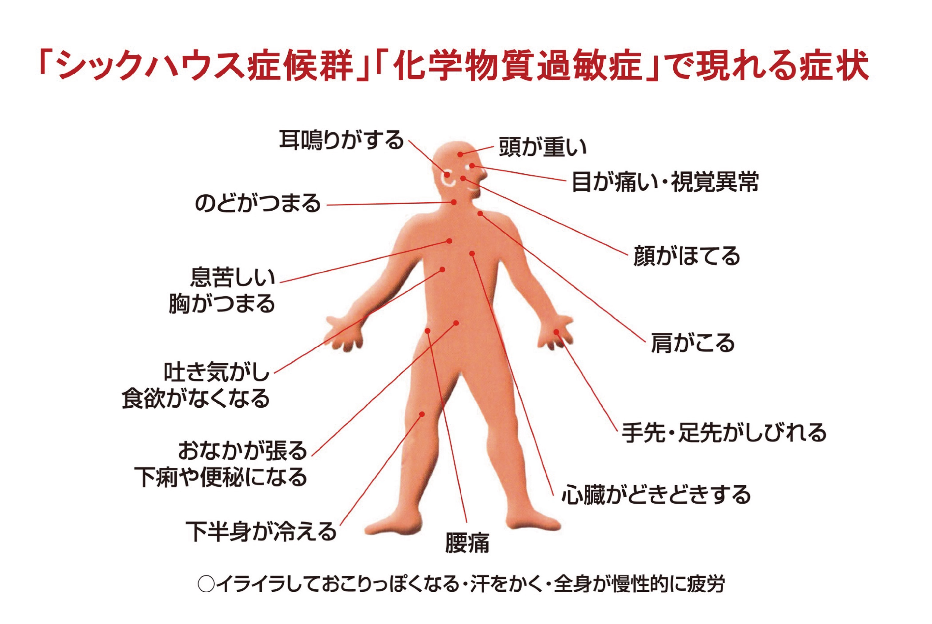 イメージ7