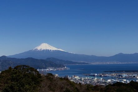 コロナ新時代　住まい(土地)を選ぶ時のポイント